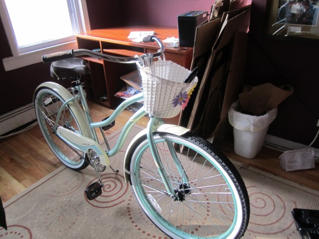 Beach Cruiser Bike