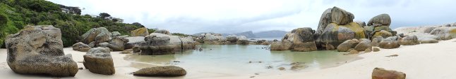 Boulder's Beach, Cape Town