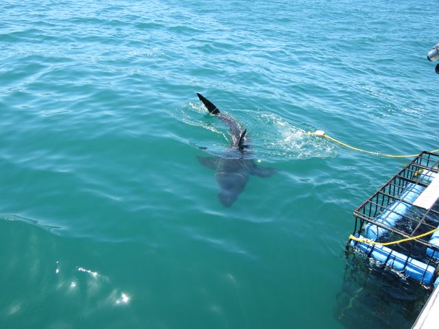 We were even closer than this at times (Courtesy of Jaime)