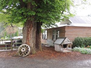 Shedfest 2013 Payne's Rise