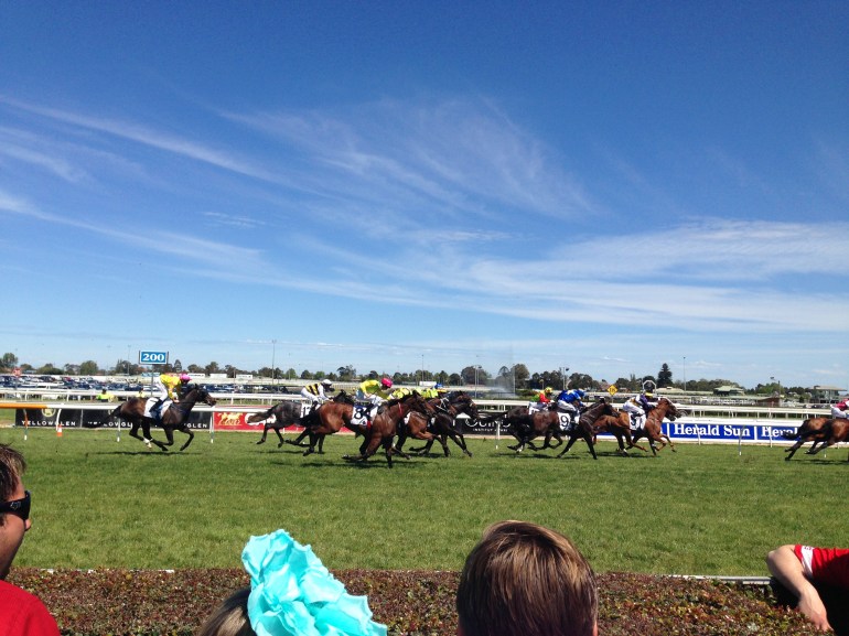 Caulfield Cup 2013