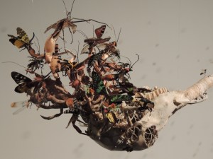 MONA bug installation