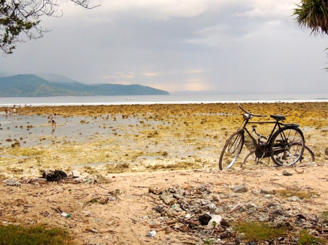 Low tide bicycle 