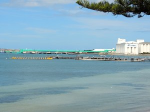 Port Lincoln Tuna Farms