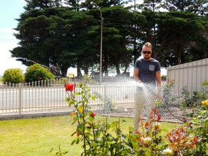 Wes watering flowers in the sun