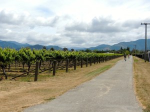Cycling Marlborough