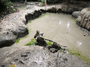 Empty Mud Volcano