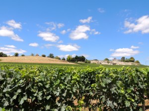 Chateau La Gaffeliere