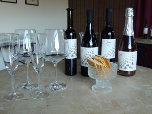 Wine tasting at šunj vina