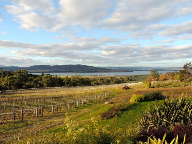 View from Coal Valley Vineyard