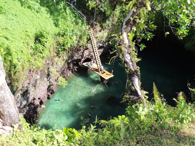 Tu Sua Trench