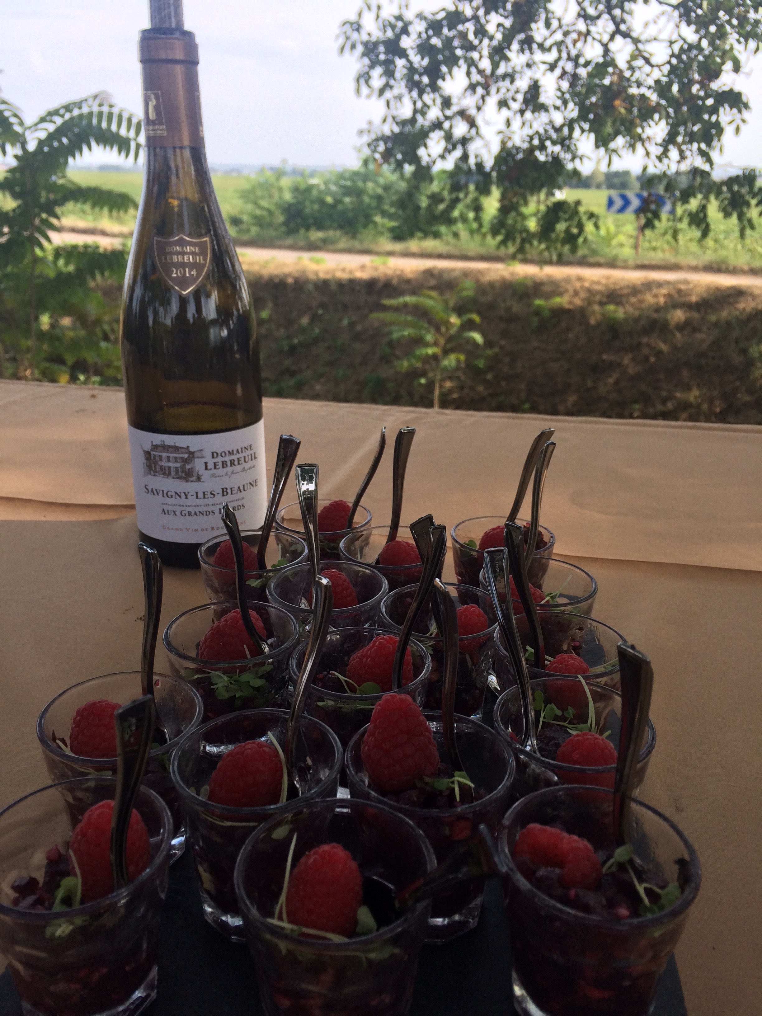 Canapes at Outstanding in the field