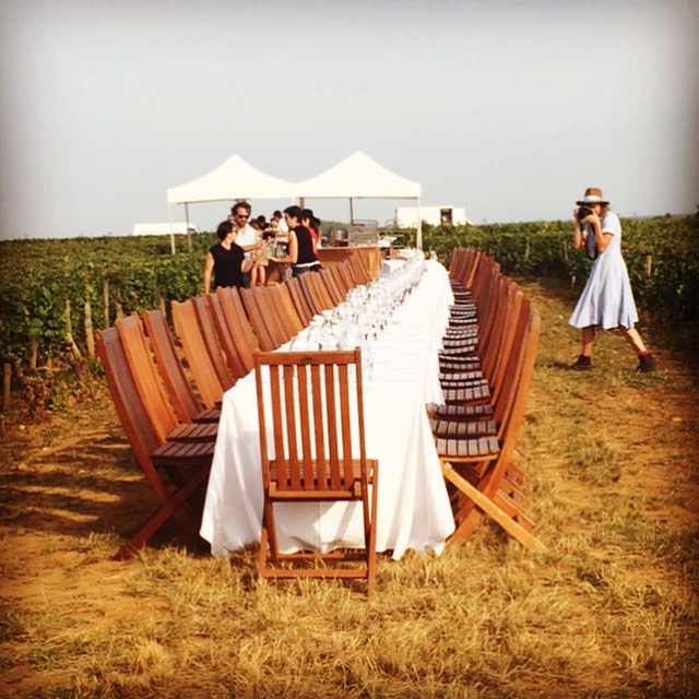 Outstanding in the Field, Burgundy, France
