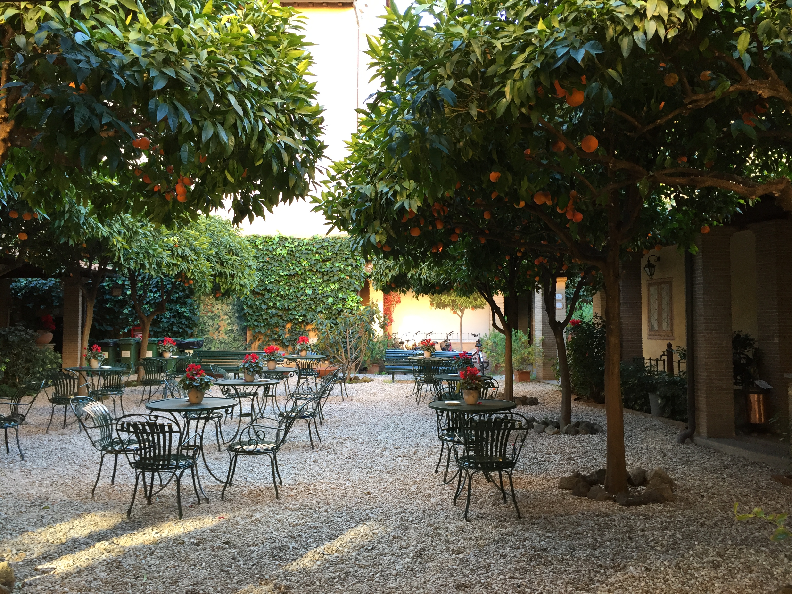 Orange Trees, Hotel Santa Maria, Trastevere