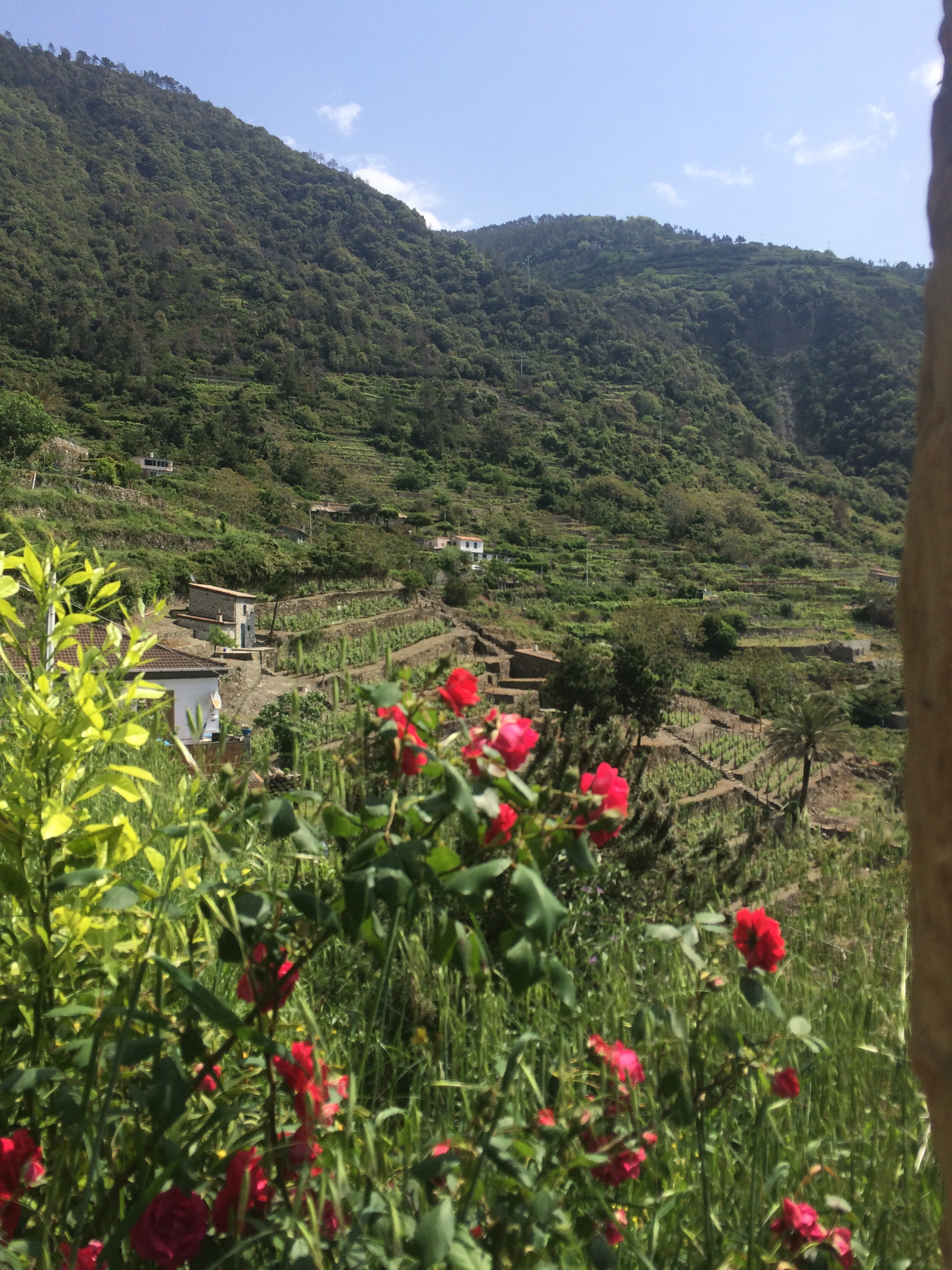 Hiking to Corniglia