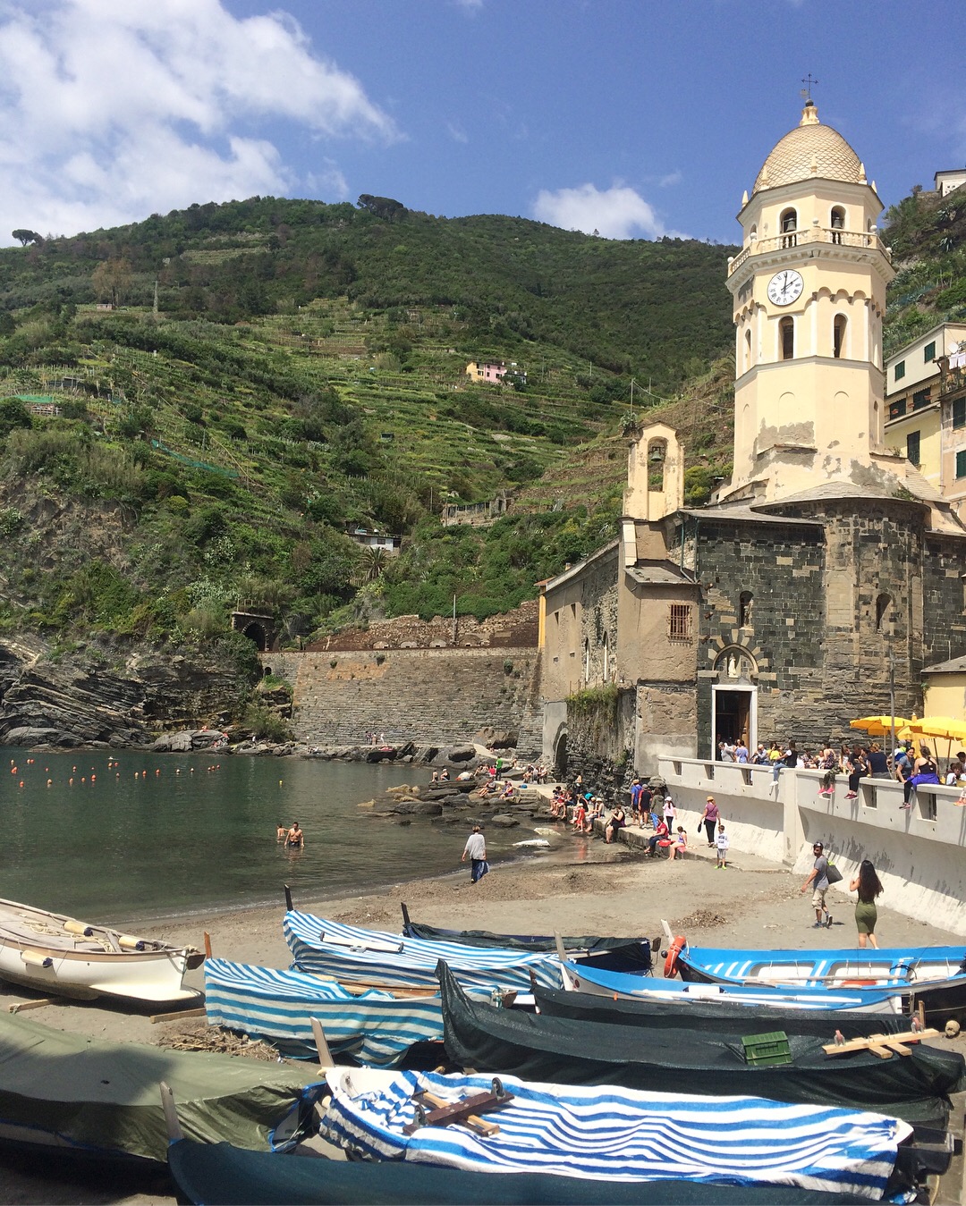 Vernazza marina, Cinque Terre